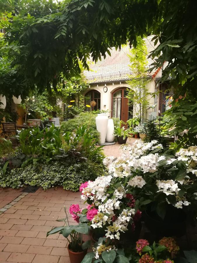 Faehrhaus Meissen B&B المظهر الخارجي الصورة