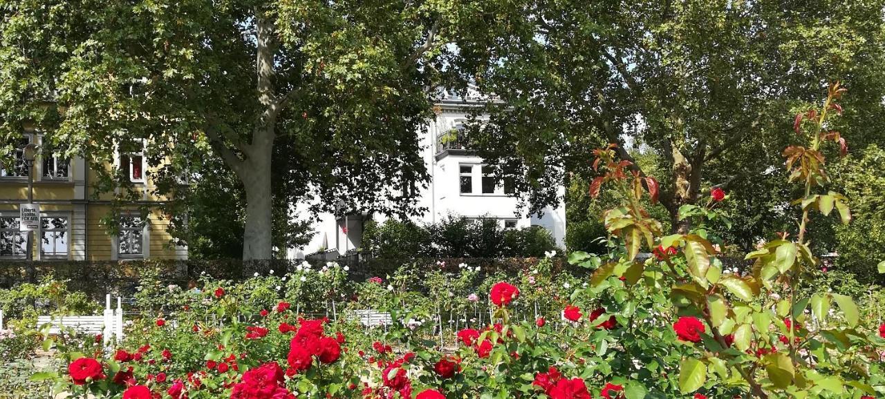 Faehrhaus Meissen B&B المظهر الخارجي الصورة