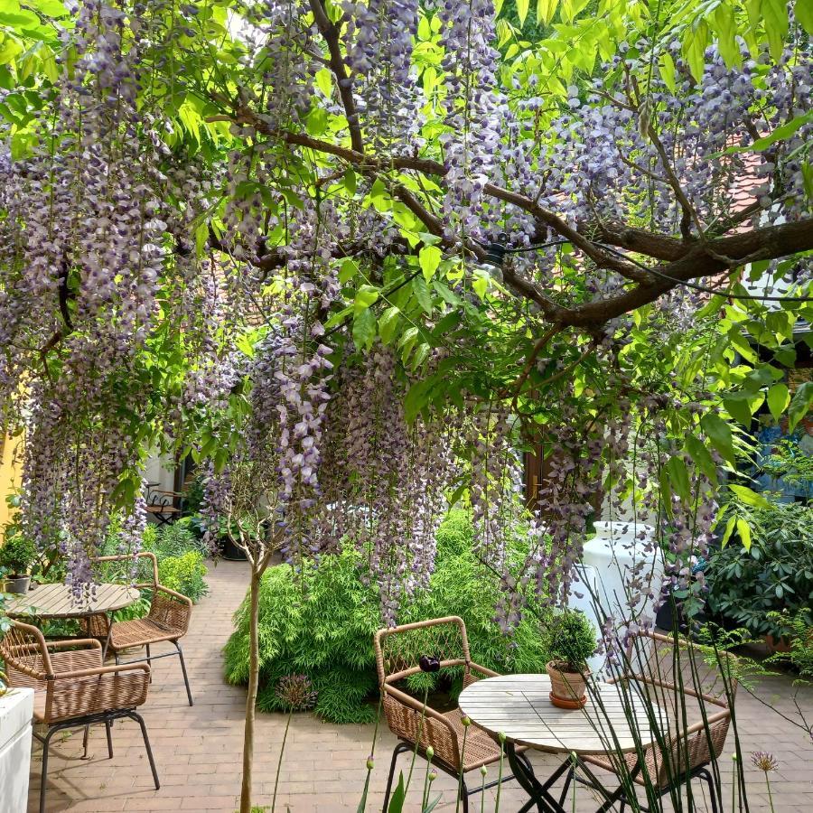 Faehrhaus Meissen B&B المظهر الخارجي الصورة